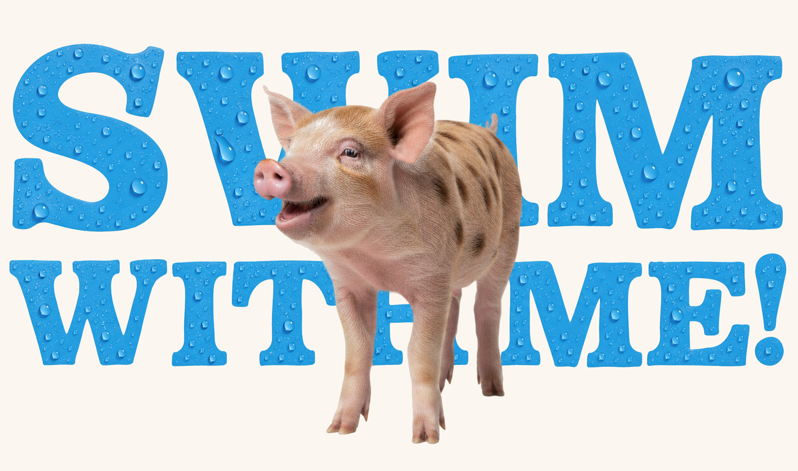 Swim With Me, the swimming pigs of Treasure Island